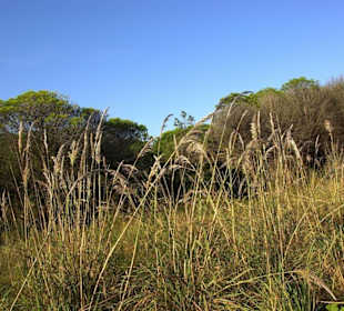 Naturschutzgebiet Gegend