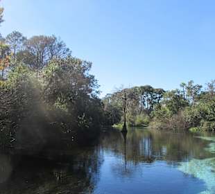 Weeki Wachee River
