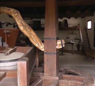 Museo Agrícola El Patio