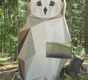 Wandern Oberbozen nach Maria Saal