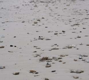 Strandabschnitt