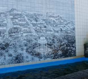 Taoro-Park – auf dem Weg nach oben