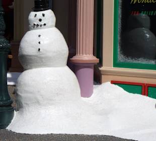Schneemann mitten in Florida