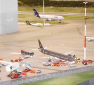 Trump seine Maschine?