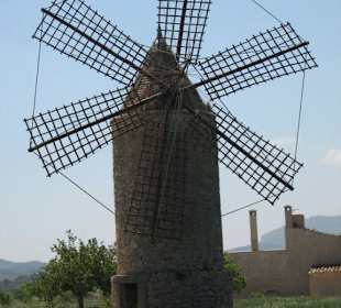 Windmühle bei Algaida