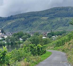 Wandern Zell (Mosel)