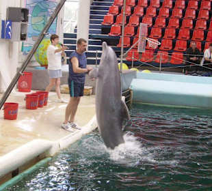 Im Delfinarium von Varna