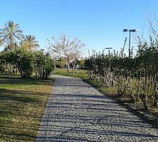 Wunderschön auch im Dezember