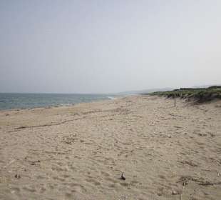 Sardische Strandimpressionen