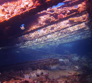 Chrisoula K. - Laderaum 1