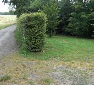 FriedWald Schönbuch