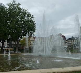 Im Rosengarten von Bad Kissingen