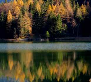 Spiegelungen