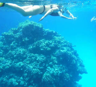 Schnorcheln 