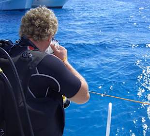 Tauchen im fantastischem Wasser