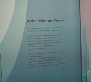 Museum für Naturkunde