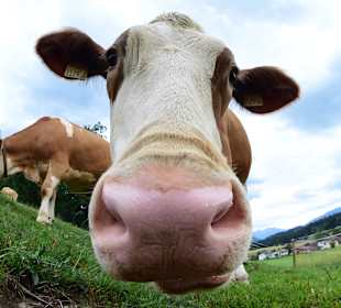 Neugierige Blicke der “Einheimischen”