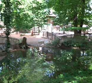 Tierpark Hellabrunn