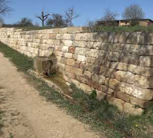 Premiumwanderweg "hochgeblickt"