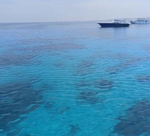 Schnorcheln Abu Soma