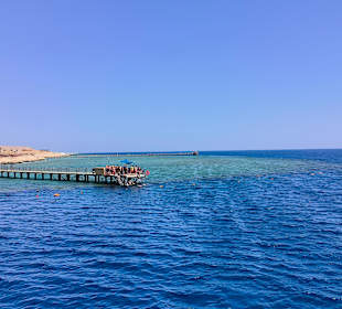 Tauchbasis Coraya Divers Marsa Alam 