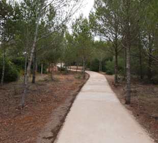 Jetzt hat man einen schönen Gehweg gebaut,S´Arenal