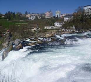 Rheinfall
