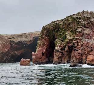 Ausflug Ballestas Inseln
