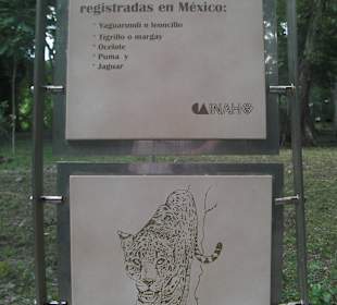 Hinweisschilder über die Raubkatzen die hier leben