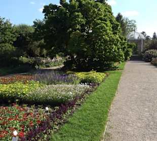 Botanischer Garten München