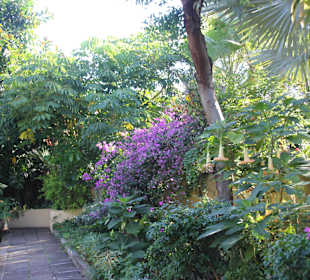 ..selbst im Winter Farbe..