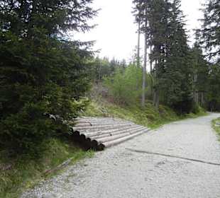 Karkonoski Park Narodowy