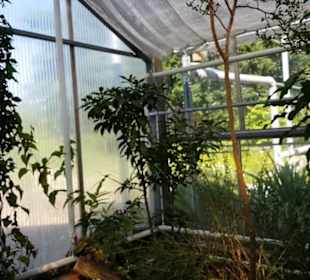 Botanischer Garten 