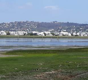 Ebbe in der Knysna Lagune