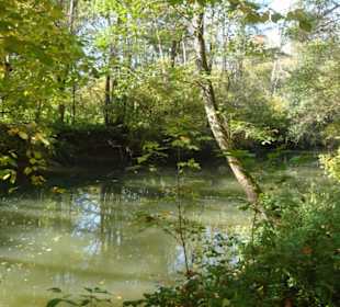 Immer an der Rems  entlang