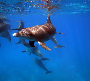 Bilder vom 13.10.16 von mir geschossen