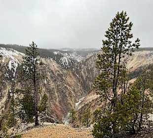 Yellowstone Nationalpark