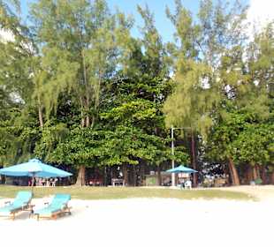 Strand in Belle Mare