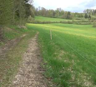 Premiumwanderweg Hochgebürzelt
