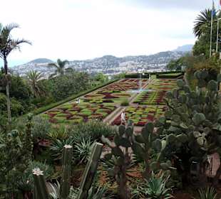 Blick auf den Botanischen Garten