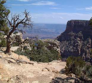 Parco nazionale Grand Canyon
