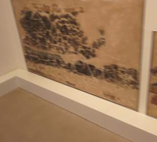 Museum für Vor- und Frühgeschichte