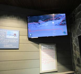 Mendenhall Visitior Center