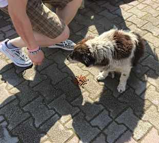 Stadtrundgang Belek - Bogazkent