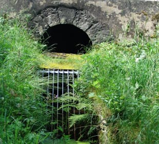 Wasserwanderweg „Buntenbocker Teiche“