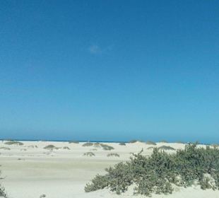 Parque Natural de las Dunas de Corralejo in Corral