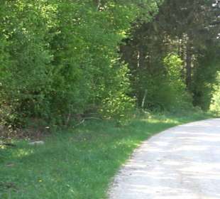 Premiumwanderweg Hochgehschätzt