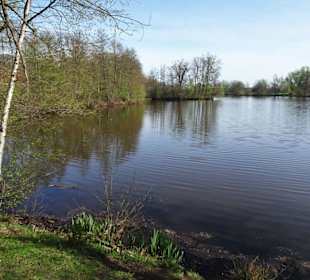 Impressionen vom Weg um den Hasportsee