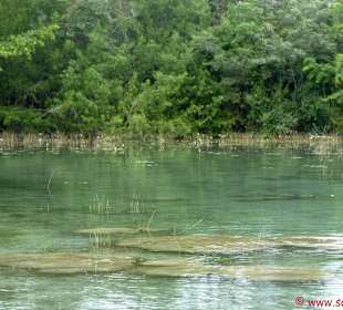 Lagune Bacalar