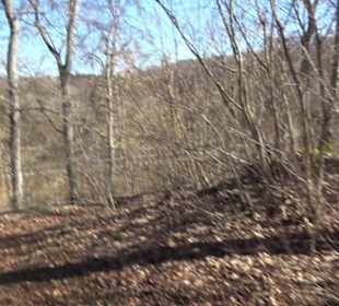 Burgruine Hohenstein